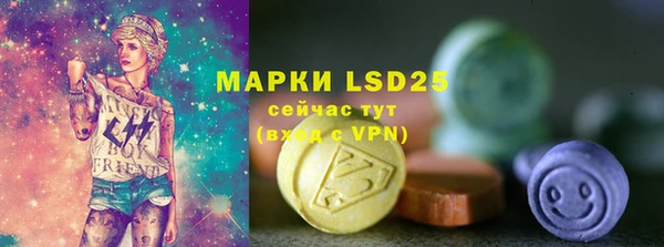 дживик Вязьма