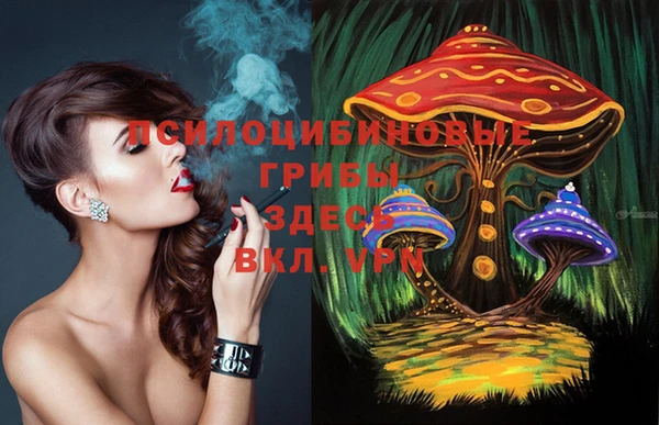 MDMA Premium VHQ Вяземский