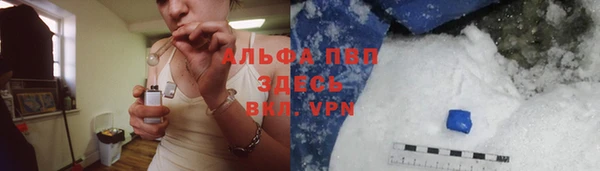 дживик Вязьма