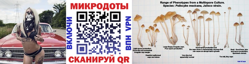 Галлюциногенные грибы мухоморы  hydra зеркало  Заводоуковск 